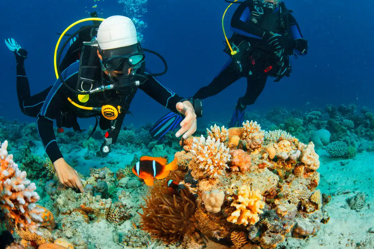 Aussie divers, club de plongée à Chalong