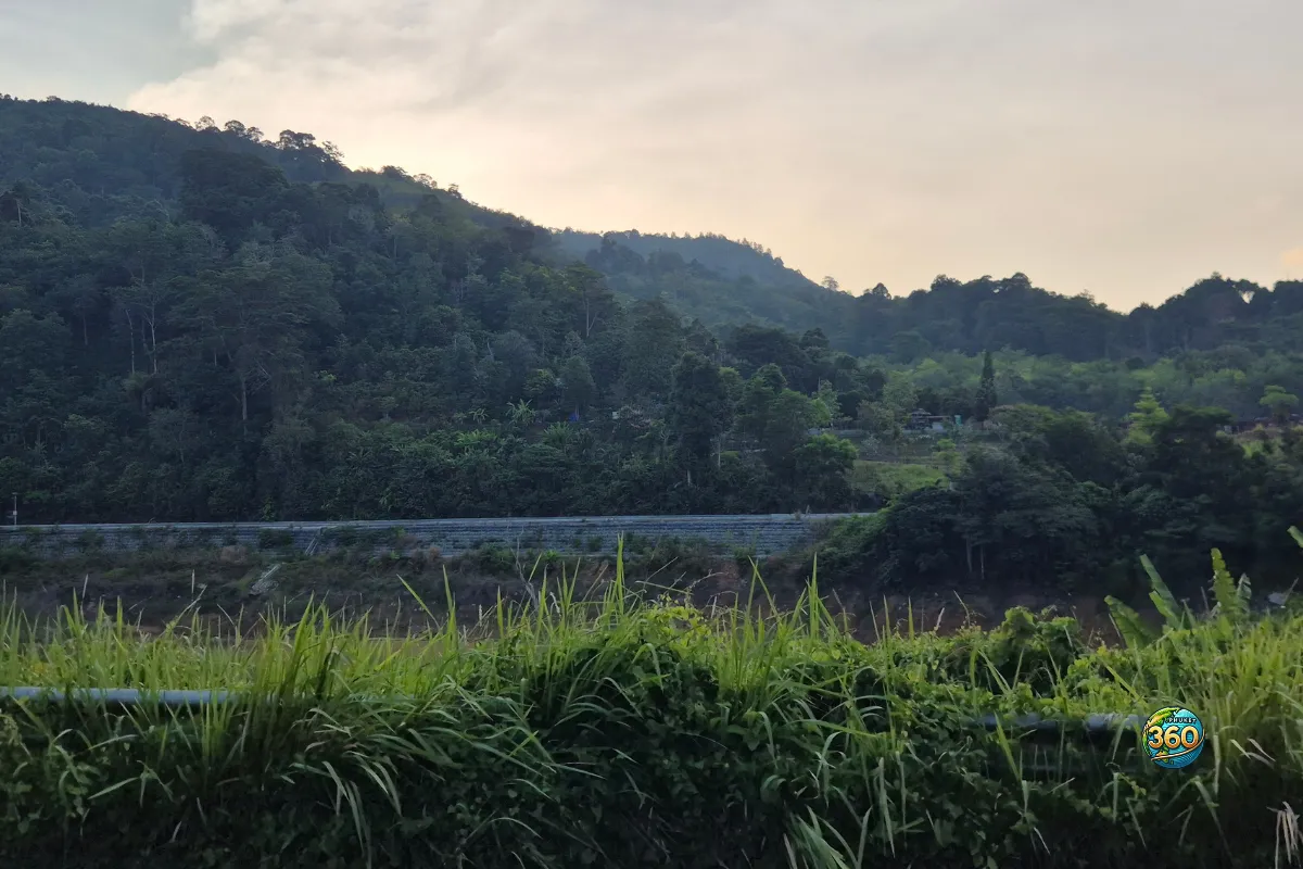 Paysage verdoyant autour de Chalong Dam Reservoir à Phuket avec herbes au premier plan et collines boisées en arrière-plan
