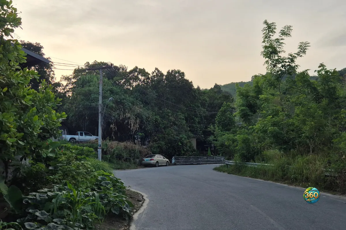 Route calme près de Chalong Dam Reservoir à Phuket avec végétation dense, voitures garées et ciel de fin de journée