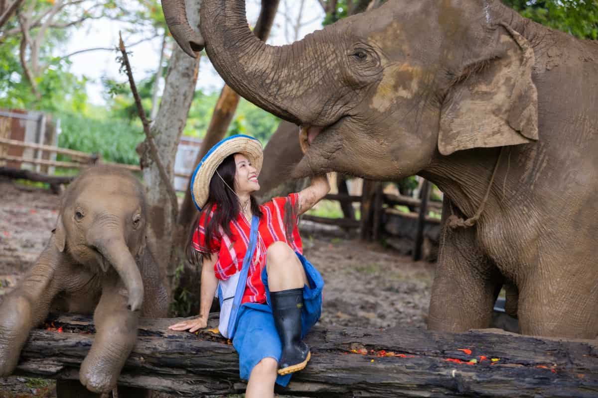 Elephant Jungle Sanctuary Phuket