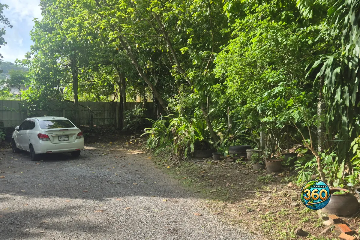 Jardin ombragé de Chinpracha House avec végétation dense et voiture garée