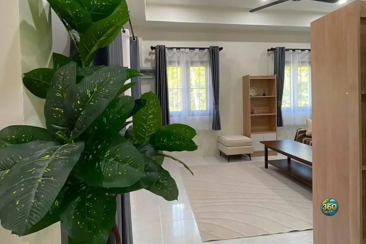 Salon lumineux de la maison 3 chambres à louer à Bang Tao, Phuket, avec plante intérieure, canapé, table basse, étagères et fenêtres