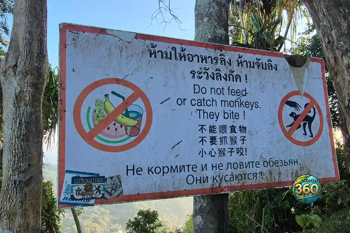 Panneau indiquant de ne pas nourrir les singes au Big Buddha