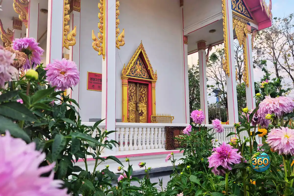 Petit pavillon blanc et doré entouré de fleurs roses dans le temple Wat Chalong à Phuket