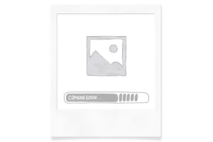 Photo à venir prochainement