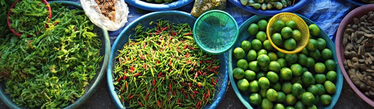 Festival Végétarien Phuket 2025